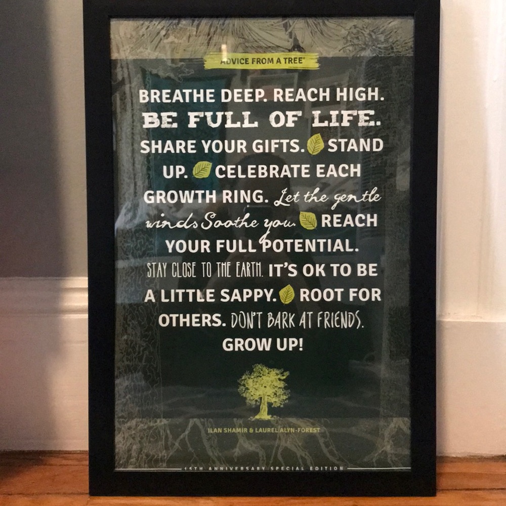 “Advice From a Tree” Framed Quote